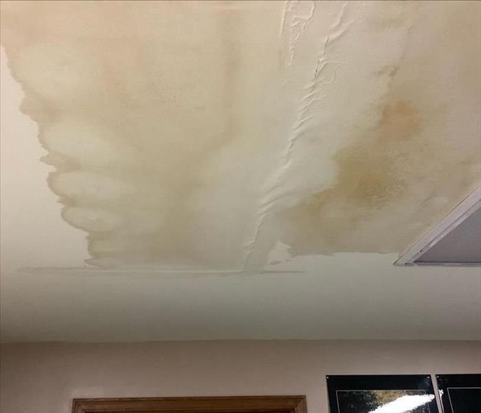 White ceiling with a big water mark and the paint is starting the come off.
