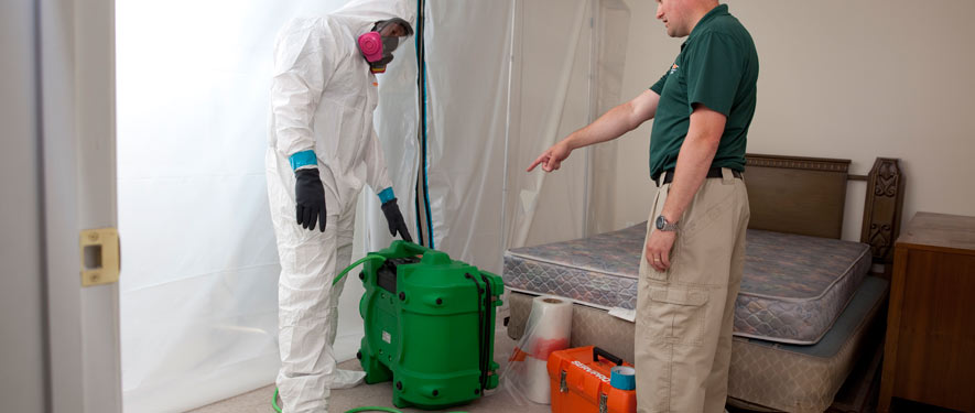 Spring Hill, FL mold removal process